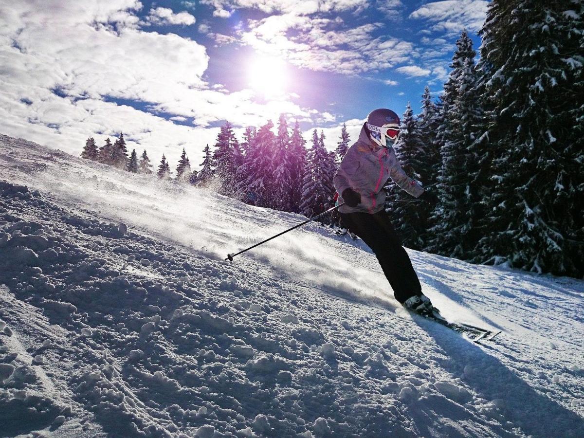 Mountainlodge Am Oetscher Lackenhof Buitenkant foto